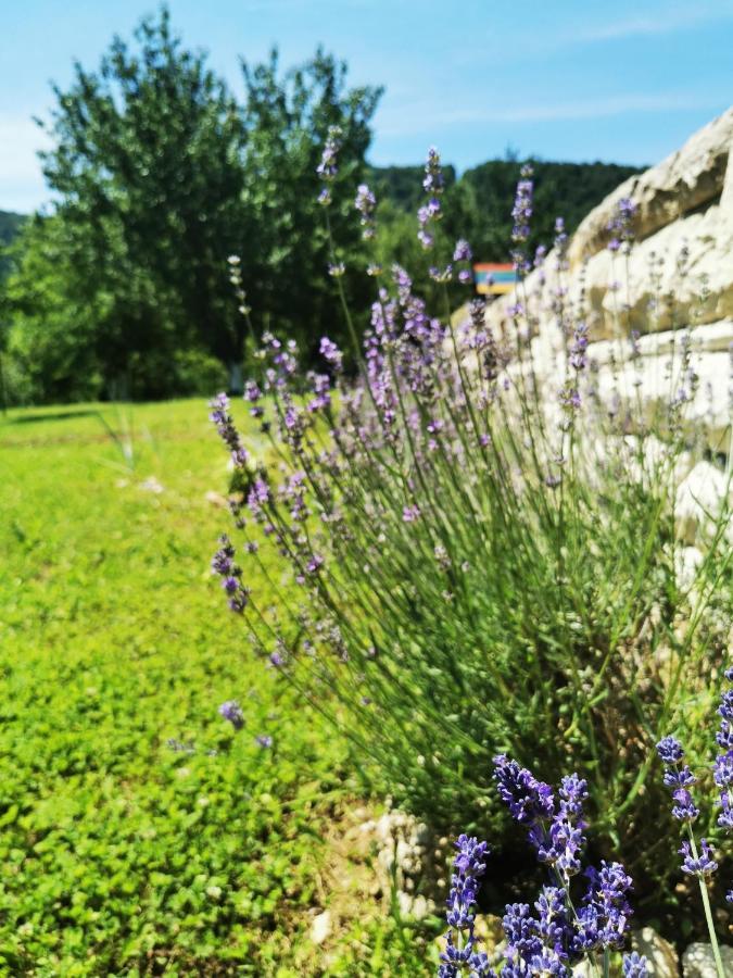 Mila Holiday Home Lohovo Eksteriør billede